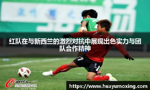红队在与新西兰的激烈对抗中展现出色实力与团队合作精神