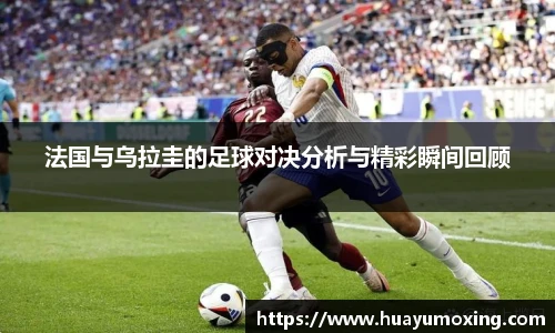 yy易游体育网址